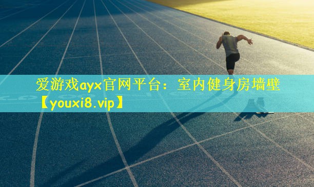 爱游戏ayx官网平台：室内健身房墙壁