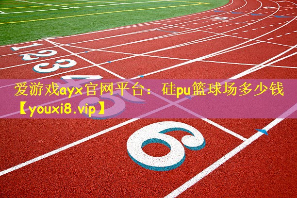 硅pu篮球场多少钱