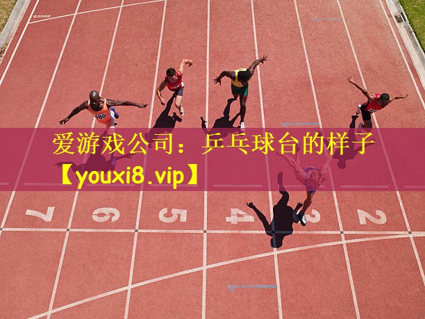 爱游戏公司:乒乓球台的样子