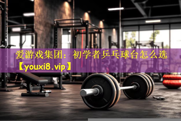 爱游戏集团:初学者乒乓球台怎么选