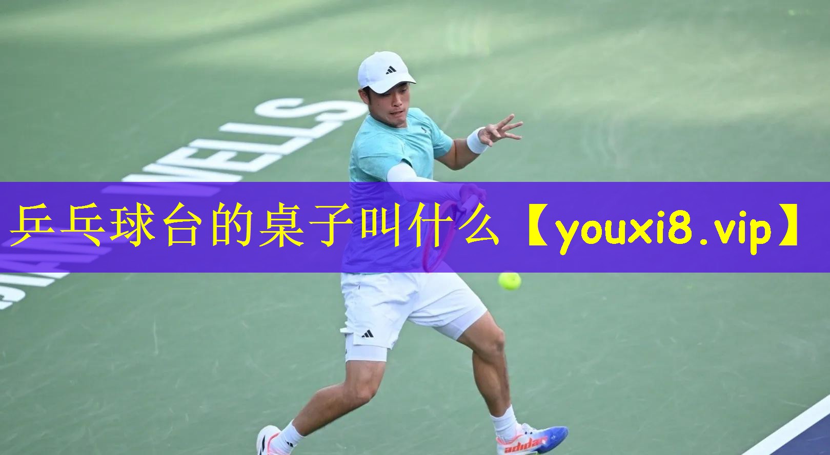 乒乓球台的桌子叫什么