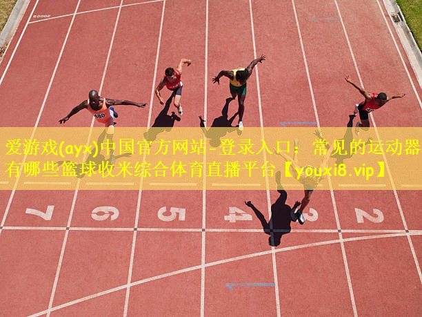 <strong>爱游戏(ayx)中国官方网站-登录入口：常见的运动器材有哪些篮球收米综合体育直播平台</strong>