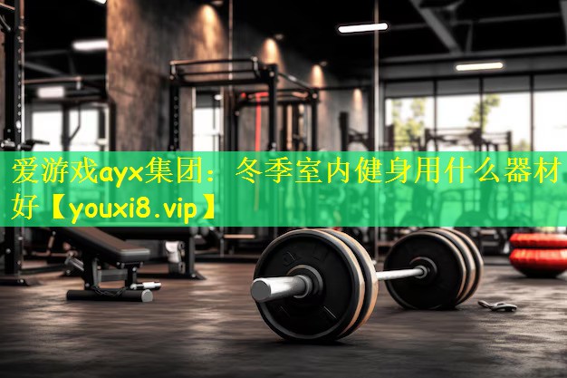 爱游戏ayx集团:冬季室内健身用什么器材好