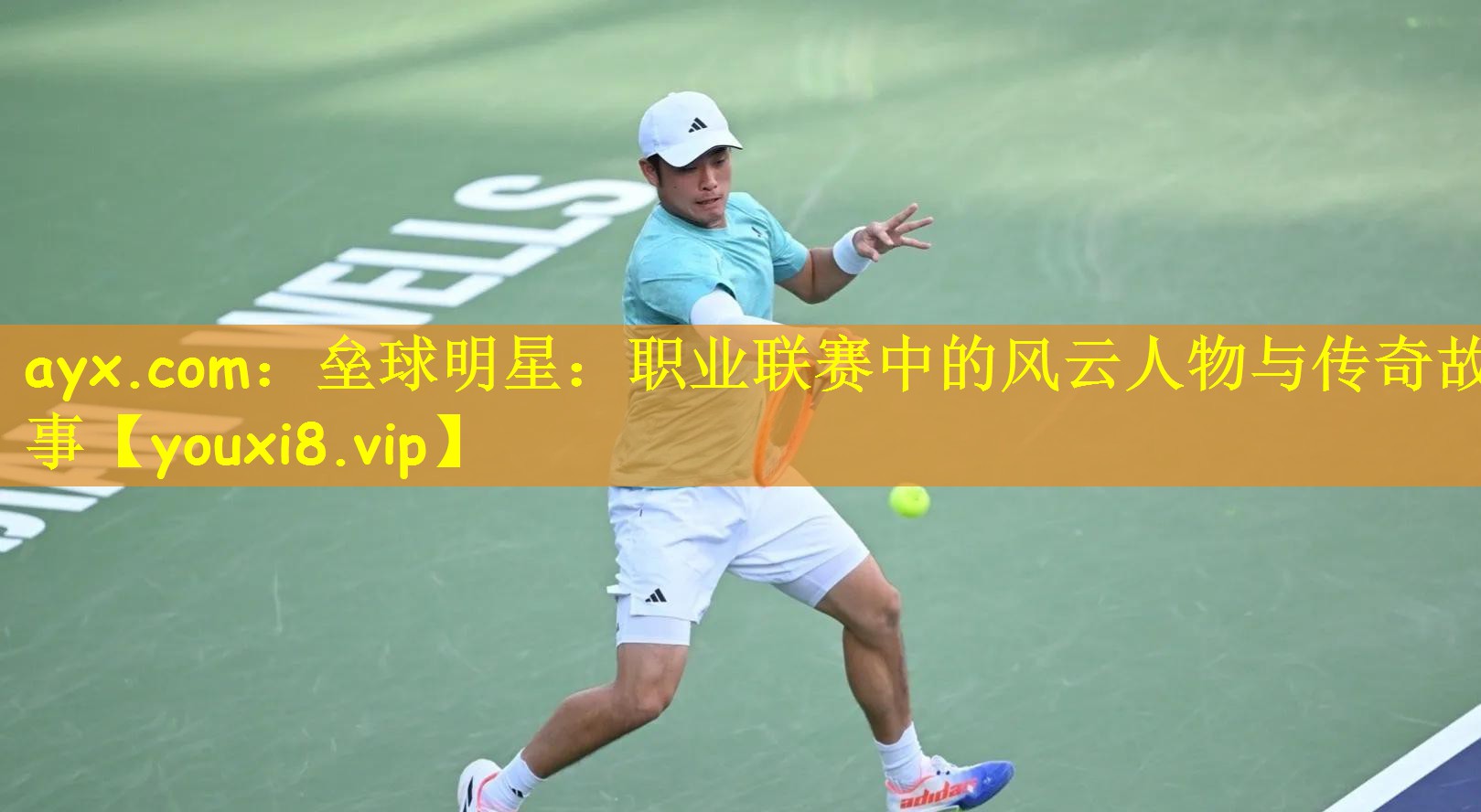 ayx.com：垒球明星：职业联赛中的风云人物与传奇故事