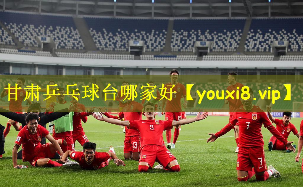 甘肃乒乓球台哪家好