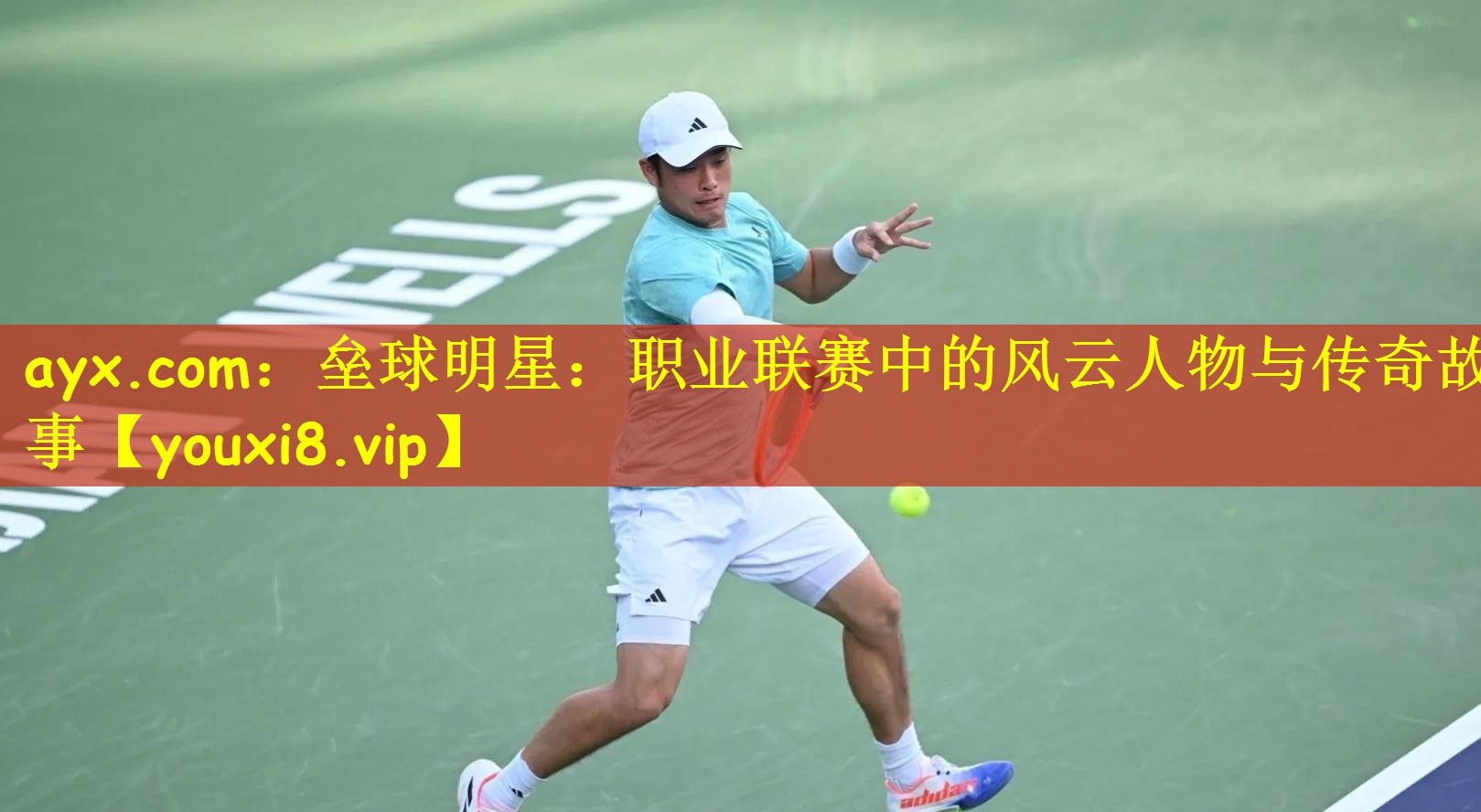 垒球明星：职业联赛中的风云人物与传奇故事